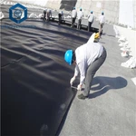 Căptușeală pentru iaz cu geomembrană HDPE pentru iazurile de piscicultură