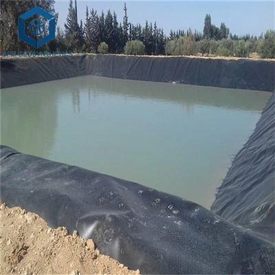 Furnizorul numărul unu chinez de geomembrană