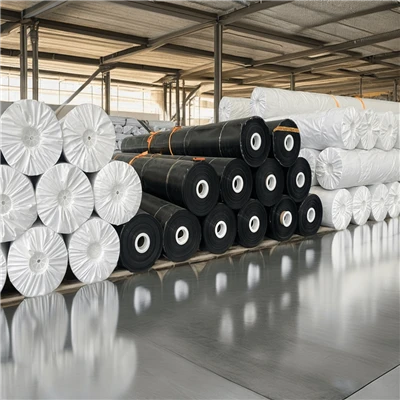 Geomembrană HDPE de 1 mm pentru iazuri cu pești