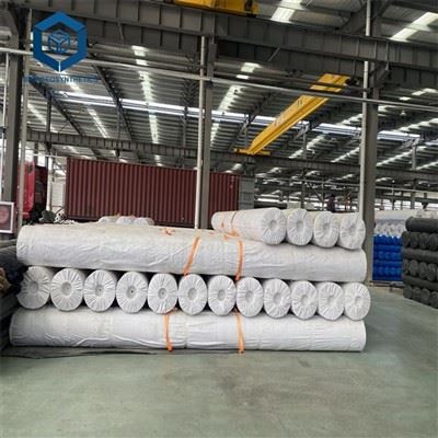Pond Liner Filipine